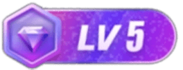等级-LV5-Cos盒子